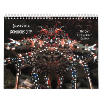 Who Cares If It's Seasonal? Wall Calendars