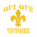 Who Dat  Cajun French Victory t-shirts