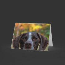 Who Dat Dog? cards by wottwin Who Dat Dog? cards