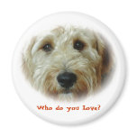 Who do you Love? Magnets