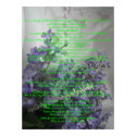 Who I am - Customized posters by christwitness Who I am - Customized posters