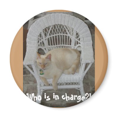 Who is in charge?! cat magnet