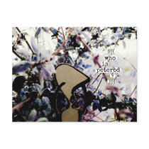 ((((who is peterbd?)))) postcards