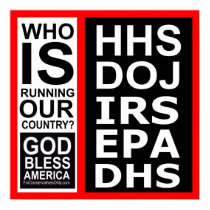 Who Is Running Our Country? Print