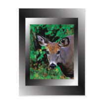 "Who IS This?" postcards