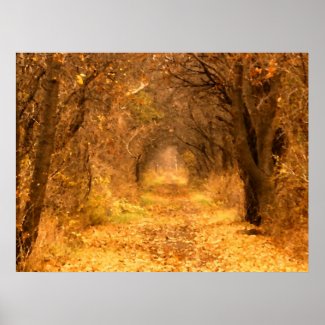 Who Knows Where The Path Leads? print