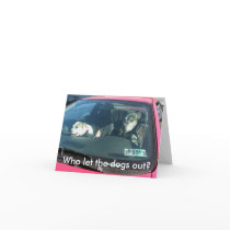 Who let the dogs out? Note Card