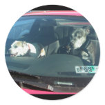 Who let the dogs out? Stickers