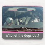 Who let the dogs out? usepad