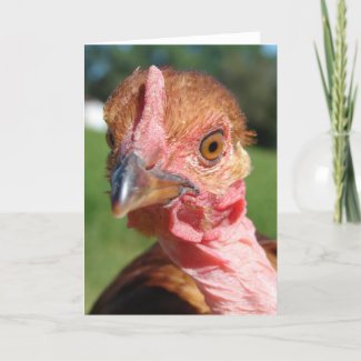 Who Me? A Turkin Chicken card