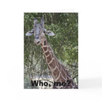 Who, me? cards by kimboj1 Who, me? cards