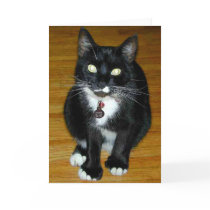Who Me? Card