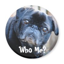 Who Me? Magnet