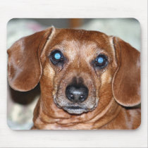 Who Me mousepads by Paddydee56 Who Me mousepads