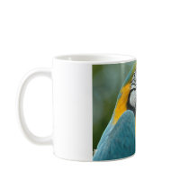 Who Me? mugs