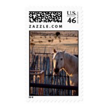 Who Me? Postage Stamp