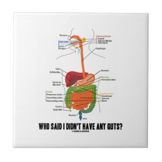 Who Said I Didn't Have Any Guts? Digestive System Tiles