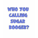 Who You calling sugar booger t-shirts