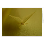 Who You Lookin' At? Greeting Card