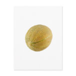 Whole Austrailian rockmelon Post Card