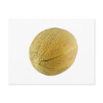 Whole Austrailian rockmelon Postcards