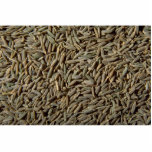 Whole cumin photo cut outs