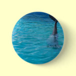 Wholphin tail wave