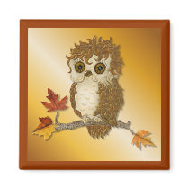 Whoo Me Owl magnets