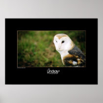 Whooie Posters