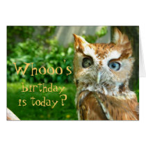 Whooo's Birthday Card cards