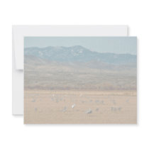 Whooping and Sandhill Cranes Custom Announcements