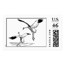 Whooping Crane postage by moxieann Whooping Crane postage
