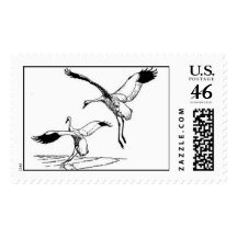 Whooping Crane   Stamp