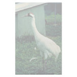 Whooping Crane Customized Stationery
