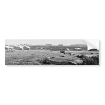 Whooping Cranes at Aransas National Wildlife Refug bumper stickers