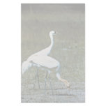 Whooping Cranes Stationery
