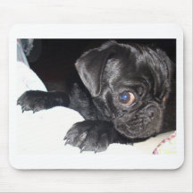 Who're you looking at? mouse pads