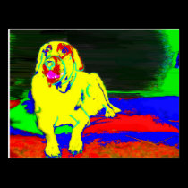 Who's A Good Dog?! postcards