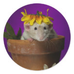 who's been in the flowers? stickers