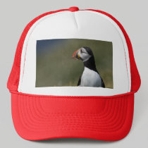 Who's There Puffin hats