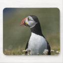 Who's There Puffin mousepads