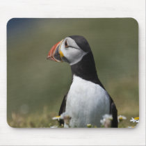 Who's There Puffin mousepads