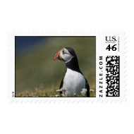 Who's There Puffin stamp
