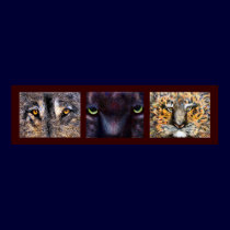 Who's Watching Eyes Poster posters by artbyjolyn Who's Watching Eyes Poster posters