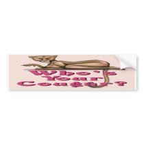 Who's Your Cougar bumper stickers