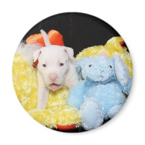 Who's Your Puppy? magnets by beverlytazangel Who's Your Puppy? magnets