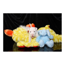 Who's Your Puppy? posters by beverlytazangel Who's Your Puppy? posters
