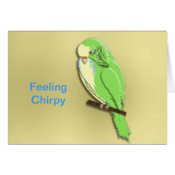 Whose a Pretty Boy Then Cute Budgie Greeting Cards