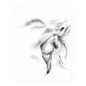 Whte Horse Head Poster posters by Lotacats Whte Horse Head Poster posters