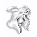 Whte Horse Head T-Shirt shirt